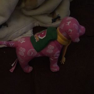 last chance 💜 Pink dog